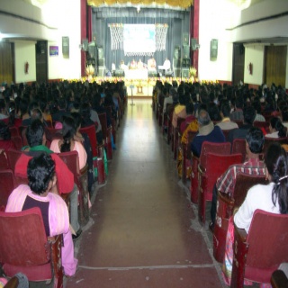 Plants: image 1 0f 4 thumb